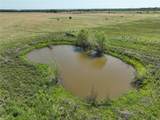14177 Ueckert Road - Photo 7