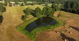 tbd 24 ac Johnson Rd - Photo 23