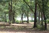 Tract 160 Private Road 1311 - Photo 15