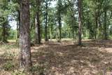 Tract 160 Private Road 1311 - Photo 20