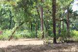 Tract 160 Private Road 1311 - Photo 21