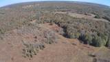 TBA County Road 276 - Photo 12