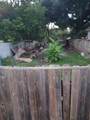 3219 Evella Street - Photo 3