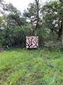 0 Private Road 648 Street - Photo 7
