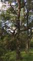 0 Private Road 648 Street - Photo 9