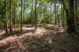 tbd County Road 4472 - Photo 5