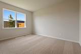 10351 Red Cardinal Drive - Photo 14
