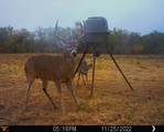 88291 Suaa Rd Well - Photo 37