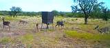 88291 Suaa Rd Well - Photo 39