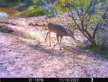 88291 Suaa Rd Well - Photo 40