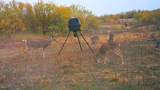 88291 Suaa Rd Well - Photo 41