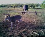 88291 Suaa Rd Well - Photo 42