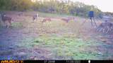 88291 Suaa Rd Well - Photo 43