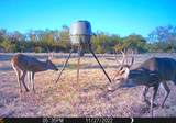 88291 Suaa Rd Well - Photo 8