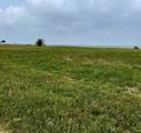 1780 County Road 372 Road - Photo 6
