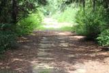 Tract 164 Private Road 1311 - Photo 18