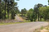 Tract 164 Private Road 1311 - Photo 9