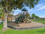 8214 Garrison Point Drive - Photo 33