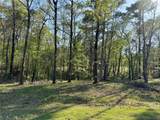 TBD Leaning Oak Drive - Photo 3