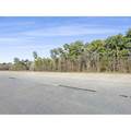 19571 Fm 1314 Road - Photo 3