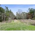 19571 Fm 1314 Road - Photo 5