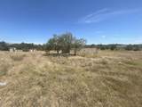 2450 Brook Valley Drive - Photo 4