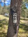 2667 Pr 1195 - Photo 6