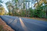 TBD Lake Mount Pleasant Road - Photo 11