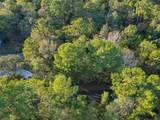 TBD Lake Mount Pleasant Road - Photo 12