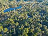 TBD Lake Mount Pleasant Road - Photo 15