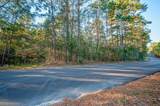 TBD Lake Mount Pleasant Road - Photo 5