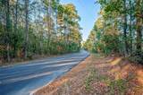 TBD Lake Mount Pleasant Road - Photo 6