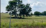 Tract #1 Hwy 21 E - Photo 8