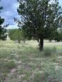 3504 Trail Head Drive - Photo 10
