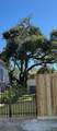1009 Sealy Street - Photo 2