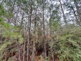 2 Rec Road 255 - Photo 14