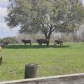 220 Private Road 16025 - Photo 10