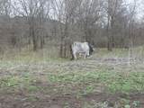 220 Private Road 16025 - Photo 4