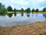 1955 County Road 2281 - Photo 19