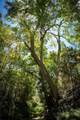 0 Cedar Hill Road - Photo 23