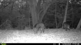 0 Cedar Hill Road - Photo 26