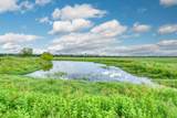 5059 County Road 132 - Photo 40