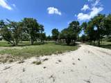1316 Titus Street - Photo 36