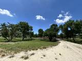 1316 Titus Street - Photo 37