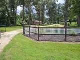 11888 Doty Drive - Photo 1