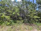 3 Rec Road 255 - Photo 6