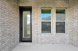 11239 Cassia Tree Lane - Photo 10