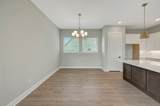 11239 Cassia Tree Lane - Photo 28