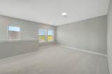 11239 Cassia Tree Lane - Photo 42