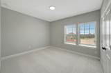 11239 Cassia Tree Lane - Photo 45